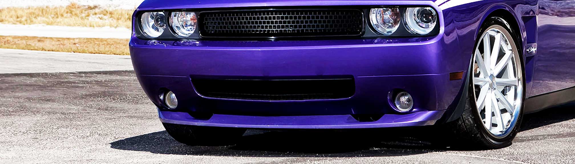 Fog Light Protection Fog Light Protectors