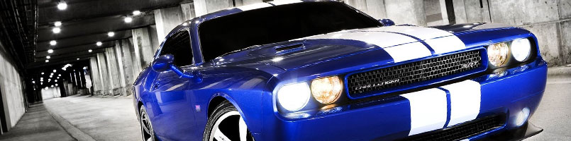Racing Stripes